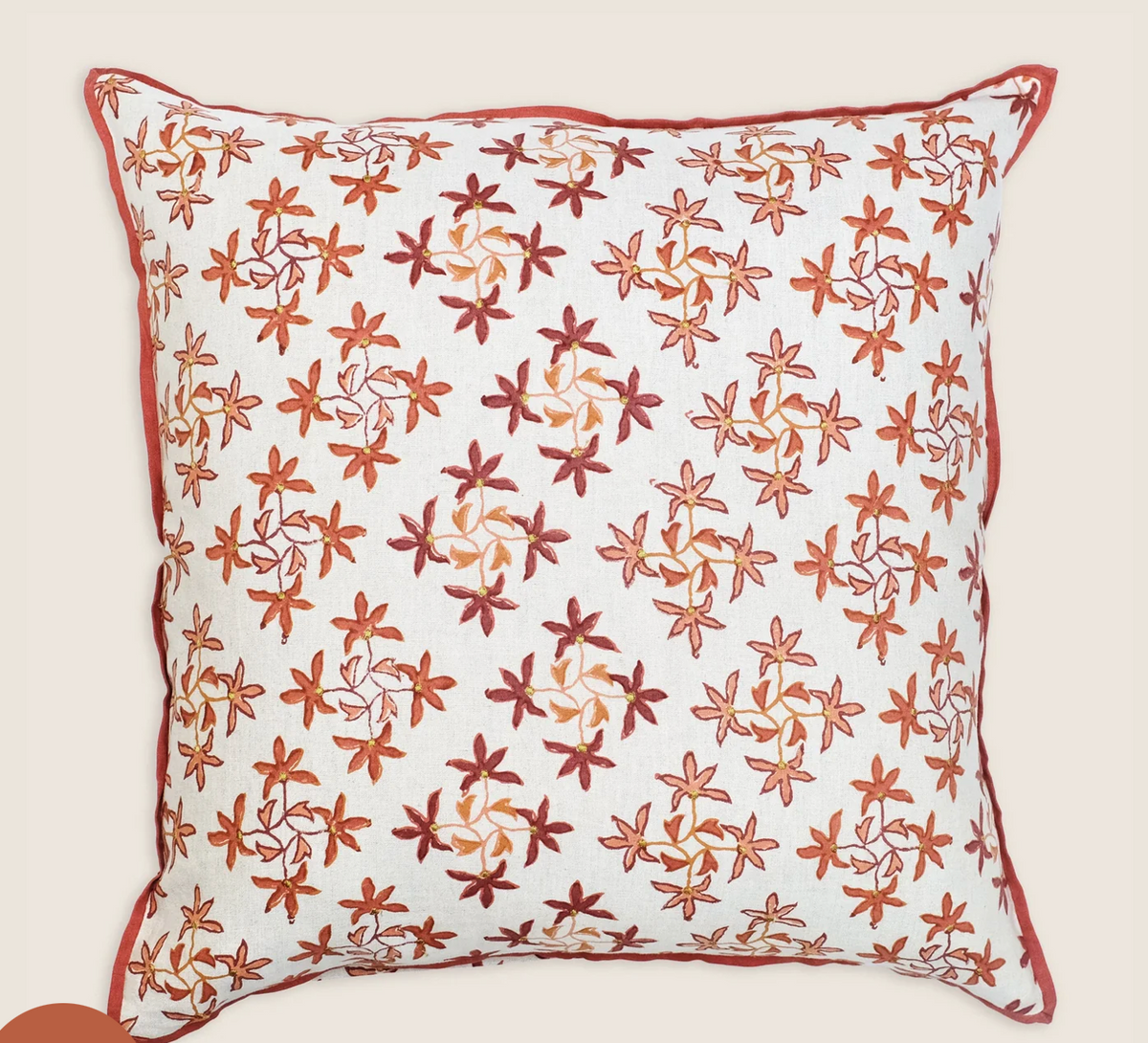Celeste Pillow With Embroidery 22x22