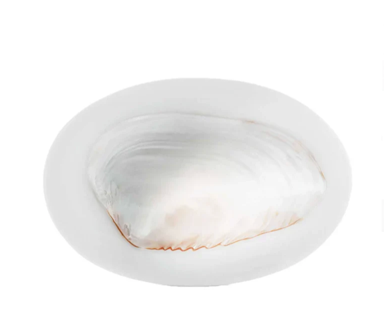 Large Caviar Dish (Multiple Colors)