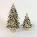 Potted Pointed Leaf Cone Tree (Champagne Gold)
