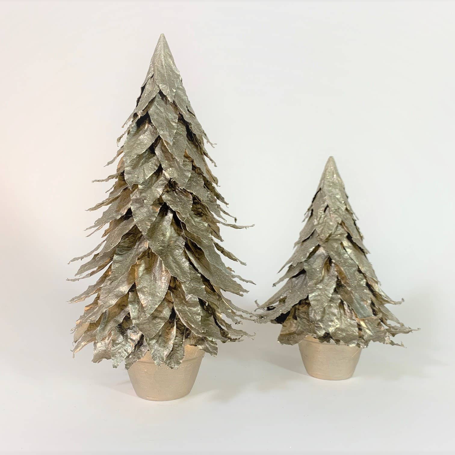 Potted Pointed Leaf Cone Tree (Champagne Gold)