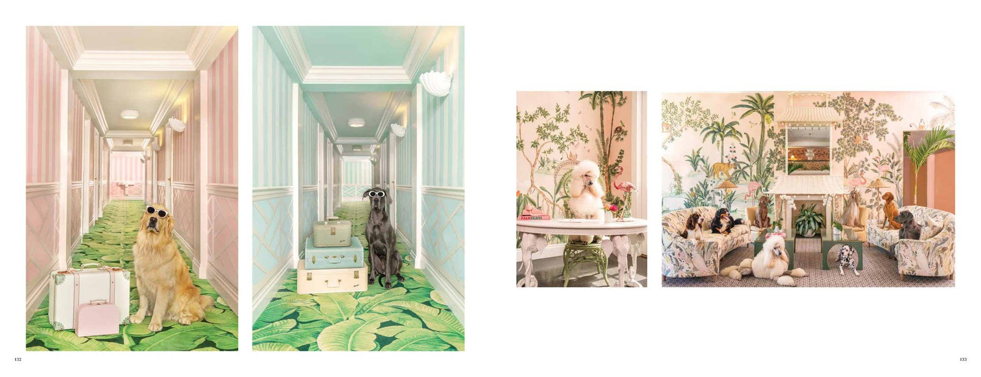 Abrams - Gray Malin: Dogs