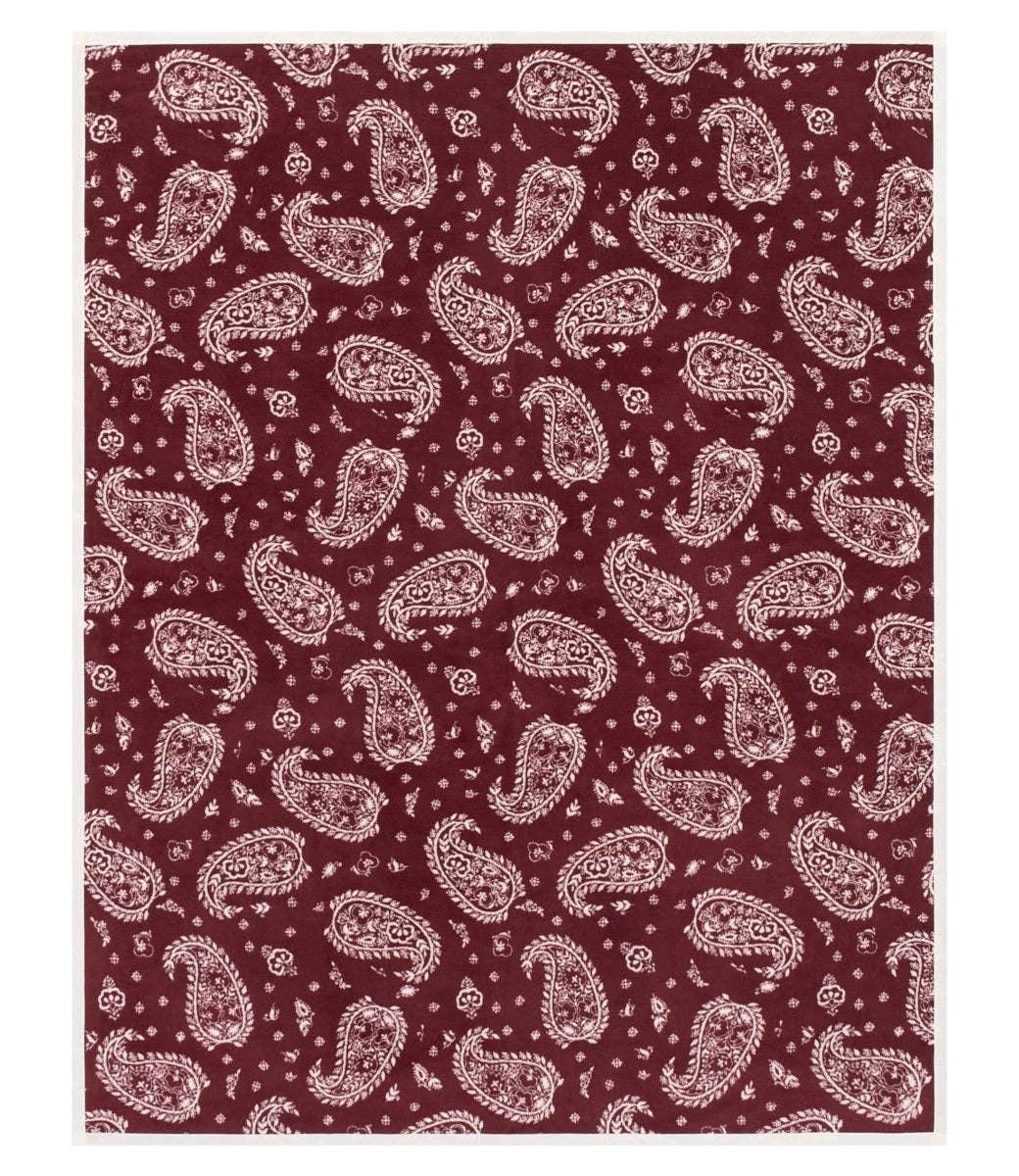 ChappyWrap - Palmer Paisley Blanket