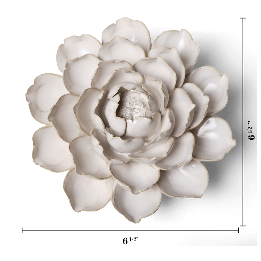 Chive Ivory Empire Cabbage Flower