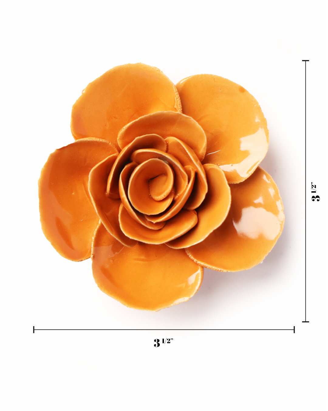 Chive - Orange Elegance Ranunculus
