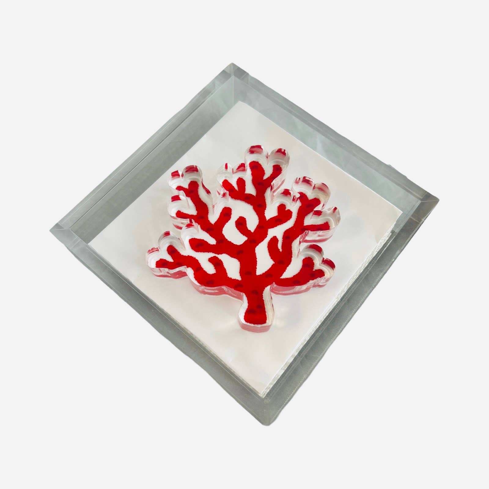 Maven Home - Acrylic Napkin Weight - Coral
