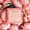 Spongellé - Peony Flower Boxed Flower 