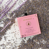 Spongellé - French Lavender Boxed Flower | Gifts