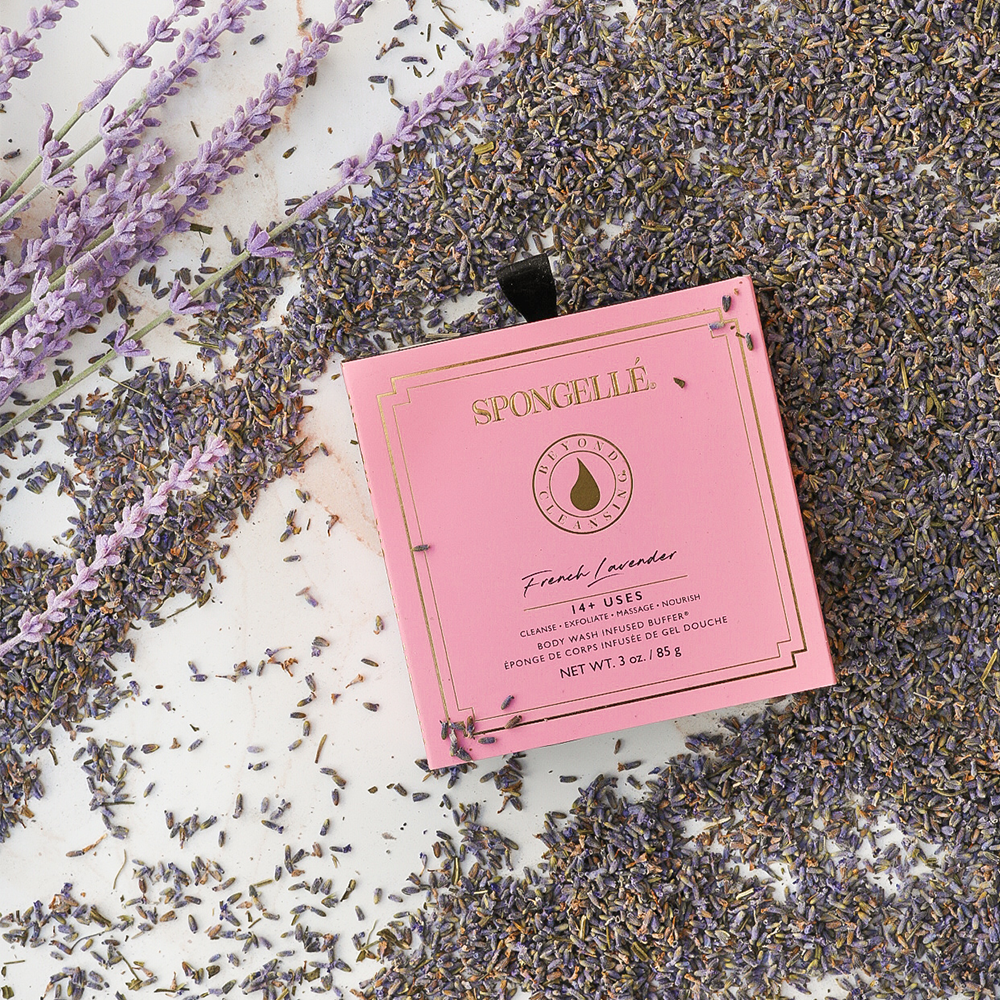 Spongellé - French Lavender Boxed Flower | Gifts