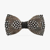 Brackish Bow Tie Guinea