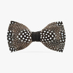 Brackish Bow Tie Guinea