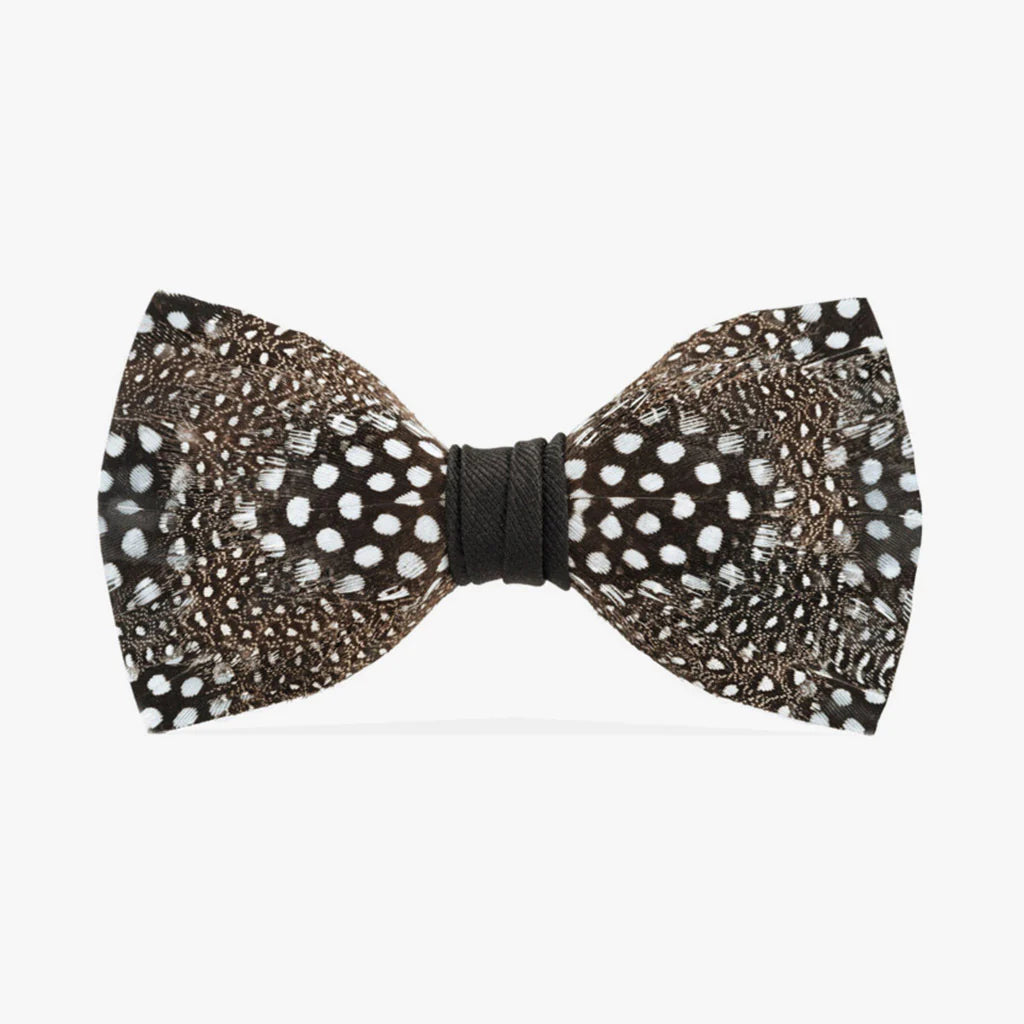 Brackish Bow Tie Guinea