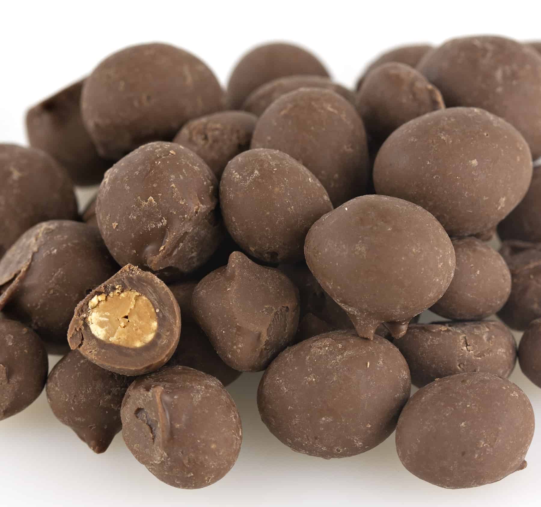 Bear Food Double Dip Milk Chocolate Gourmet Peanuts